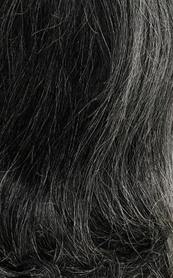 Sensationnel Dashly HD Lace Front Wig Salt N Pepper SP Unit 2